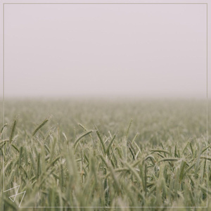 日韩家族强奸乱淫性生活影片
