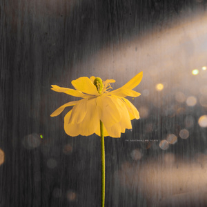 日韩家族强奸乱淫性生活影片
